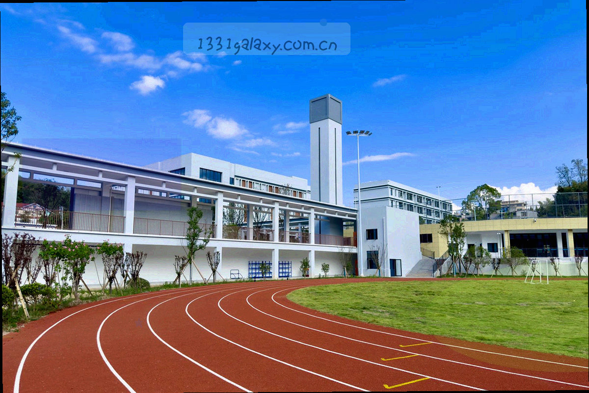 PC端内容栏目订阅界面，主题标签与订阅状态清晰可见